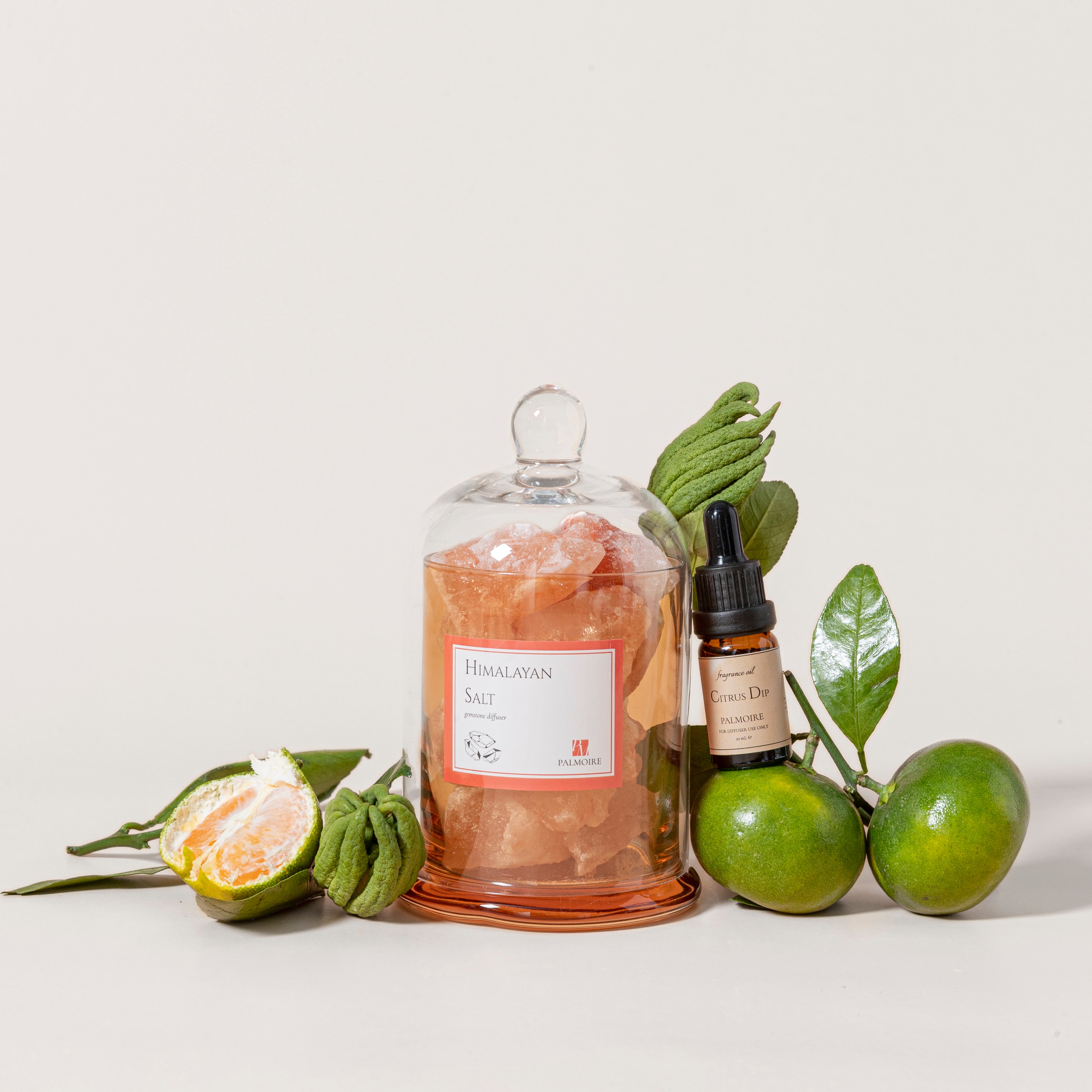 Himalayan Salt Gemstone Diffuser with Citrus Dip Fragrance Oil | LXRY Maison